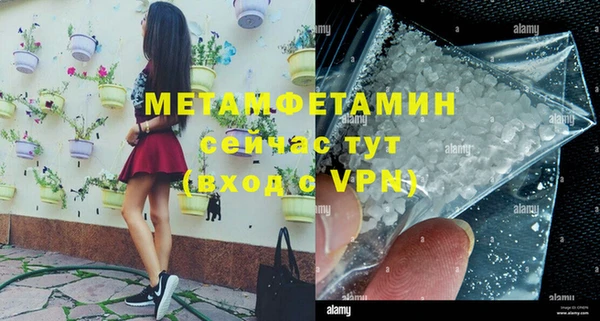 индика Инсар
