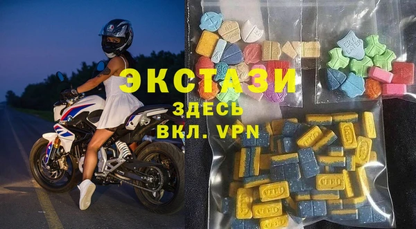 сатива Инта