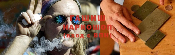 индика Инсар