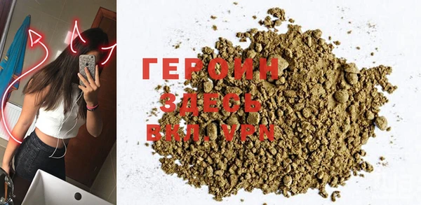индика Инсар