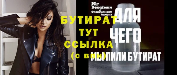 индика Инсар