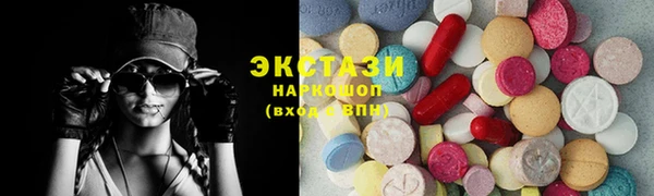 индика Инсар