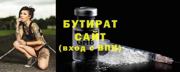 индика Инсар