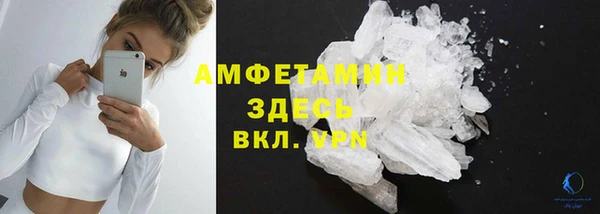 сатива Инта