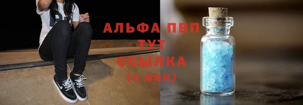 сатива Инта