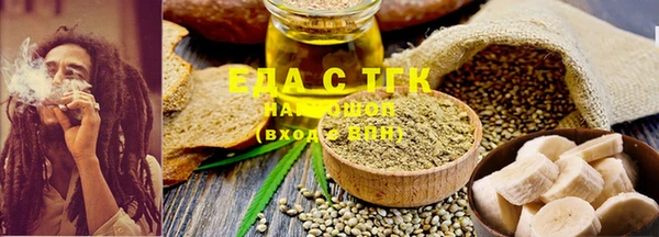 индика Инсар