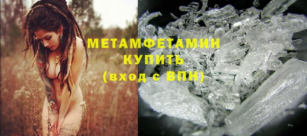 сатива Инта