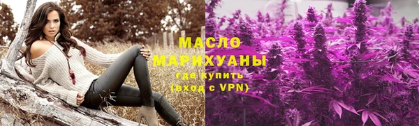 индика Инсар