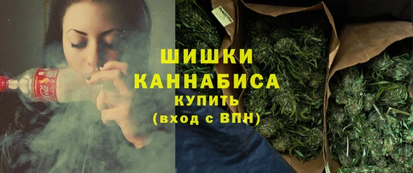 индика Инсар
