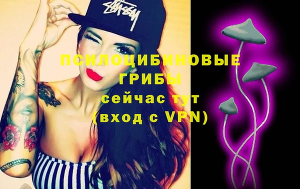 сатива Инта