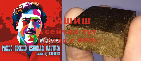 индика Инсар