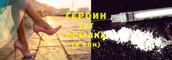 индика Инсар