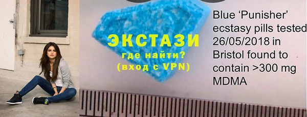 индика Инсар