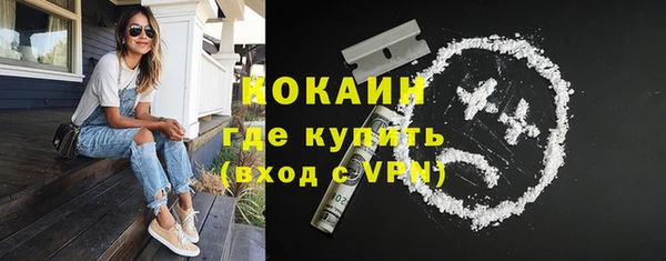 сатива Инта